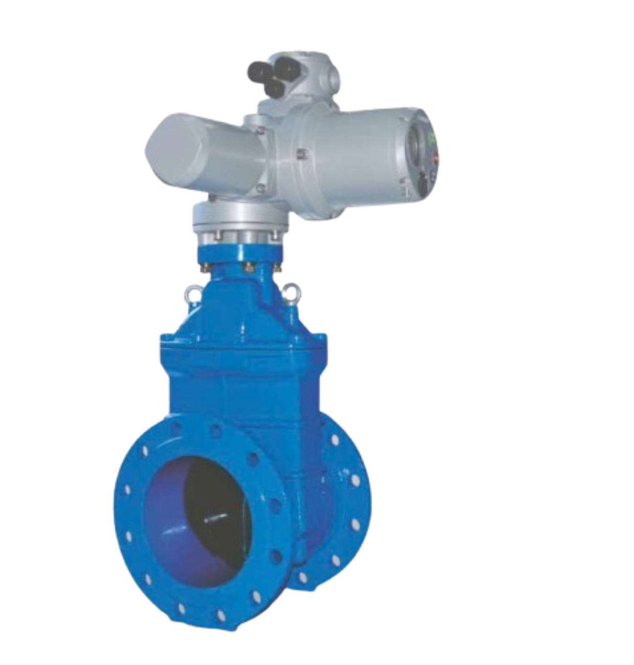 Van Cổng Động Cơ điện EMD