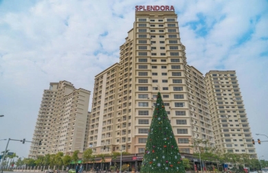 DỰ ÁN 